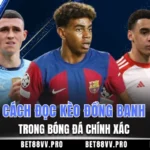 Cách đọc kèo đồng banh là gì trong bóng đá 