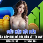 Điều kiện hội viên cần đáp ứng để rút tiền về túi ngay