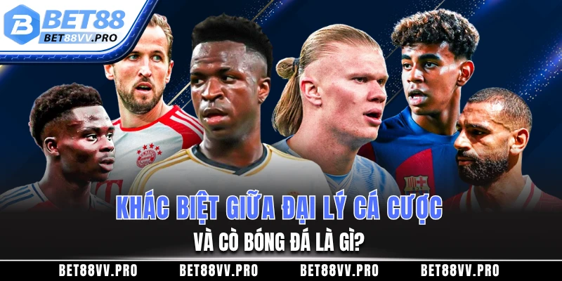 Khác biệt giữa đại lý cá cược và cò bóng đá là gì